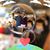 Abeer A Ali's profile image