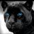 Derik Civilla's profile image