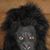 Sherry Eaton's profile image