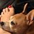 Joanne Singh's profile image