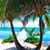 Susan Shultz's profile image