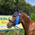 Suzanne Daniels's profile image