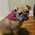 Stephanie Godsey's profile image