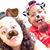 Cristopher Balam Rivera's profile image