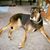 Kathy Gosik's profile image