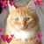 Delaine Dickson Sherrill's profile image