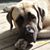 Penny Bulock's profile image