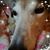 Larry Spittler's profile image