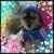 Janice Marie Turrigiano's profile image