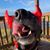 Tiffany Williams's profile image