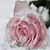 Lesli Sosnoff Siegel's profile image
