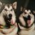 Sherry Gabutti Beliveau's profile image