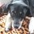 Nancy Clarke's profile image