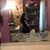 Kaianna Hahn's profile image