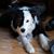 Moira Ingle's profile image