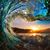 Amy Adkins Mulick-Zaremba's profile image