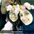 Hana Ahmad Gheith's profile image