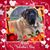 Lori Millard Jackson's profile image