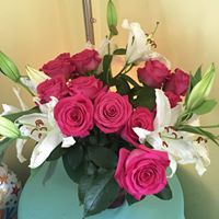 Holly Pearson's profile image