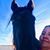 Donna Colston's profile image
