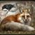 Nancy Skoczylas's profile image
