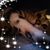 Julie Silcock's profile image