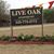 LiveOak Stamford's profile image