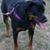 Lynda Lentz's profile image