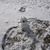 Dawn R Paquette's profile image