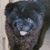 Debra Cianciullo Maxwell's profile image