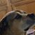 KBradley Bruns's profile image