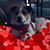 Katie Willis Miner's profile image