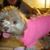 Marie Wrinn Ramos's profile image