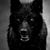 Randy Hilliard's profile image