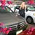 Diana Young's profile image