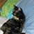 Maryanne Pollat's profile image