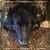 Jena M Shimkus's profile image