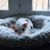 Kimberly Brown Holshouser's profile image