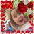 Carol Clayton Bye's profile image