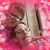 Claire Ironside's profile image