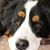 Lisa Kretzer's profile image