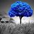 Donna Marie Hume's profile image