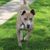 Tina Marie's profile image