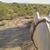 Tammy Bower Owen's profile image