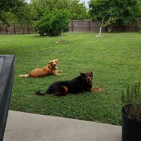 Jeanette Hedrick's profile image