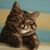Cat Boyle's profile image