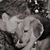 Jeanette Plante-Free's profile image