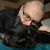 Dan Hulak's profile image