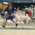 Anita Rodriguez Pugh's profile image