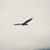 Jerome Acidre Operario's profile image